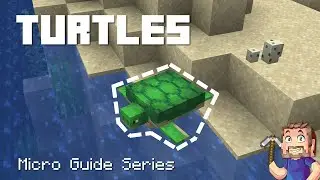 Turtles - Minecraft Micro Guide