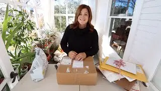 Mail Time 📦