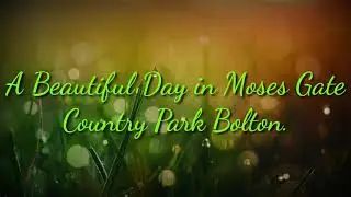 A Beautiful Day in Moses Gate Country Park Bolton.