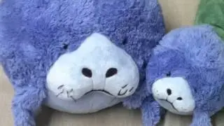 Pictures Of Squishables