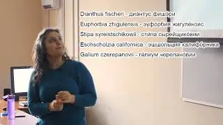 Ботаническая латынь - Наталья Виляева (МФЯ-2025)