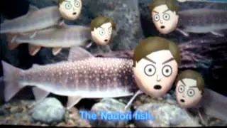 Mii News: Dasura Fish Discovered