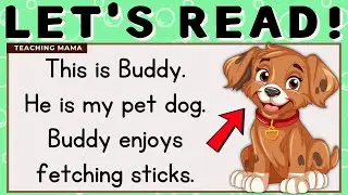 LET'S READ! | PRACTICE READING ENGLISH | SIMPLE SENTENCES | ENGLISH READING FOR KIDS | TEACHING MAMA
