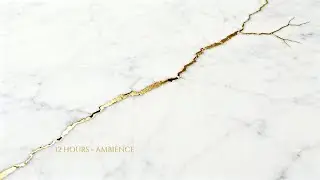 12 Hours of Silent Deep Focus &mdash; Minimal Visuals for Work & Study