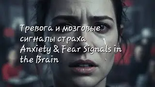 Тревога и мозговые сигналы страха-Anxiety & Fear Signals in the Brain