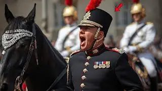 Royal Guard Horse DISMOUNTS are Back! | Horse Guards, Royal guard, kings guard, Horse,