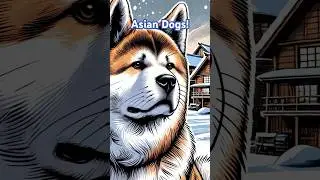 Top 5 Famous Asian Dog Breeds 🐕💕 #doglover #shiba #akita