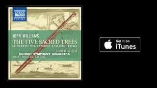 New Recording! John Williams Bassoon Concerto