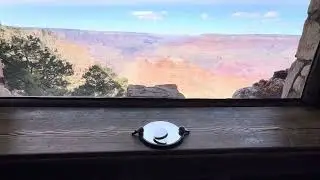 Surreal Harmony of Science and Nature