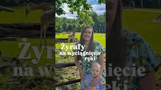 Zoo Ostrava Czechy