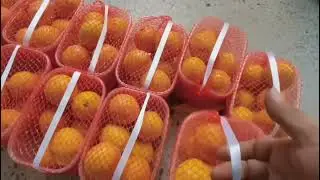 Net clipping machine