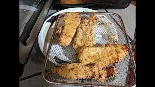 Air Fried Chicken Breast Strips, Power Air Fryer Oven Elite Recipe