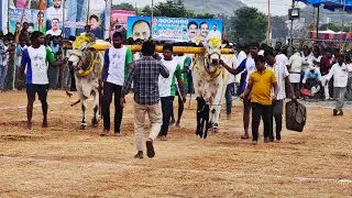 6) RK bulls మహేశ్వర _ పరమేశ్వర 2 పళ్ళు Yarragondapalem Bull race 2926