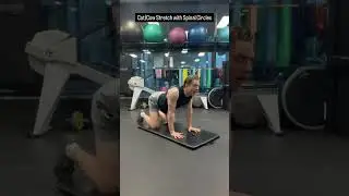 Cat/Cow Stretch with Spinal Circles