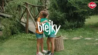 Ako sme slamke pristrihli kr&iacute;dla / Rajo Brejky