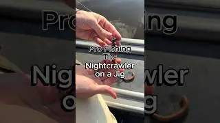 Pro Fishing Tip - Nightcrawler on a Jig #fishing #fishingtips #walleye #panfish #walleyefishing