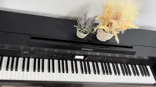 Flower Dance - DJ Okawari (Piano cover) - simplified version