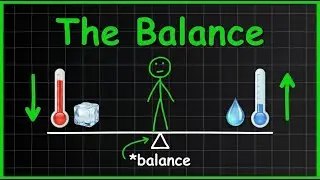 Homeostasis Explained Simply