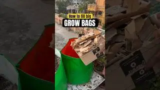 How to fill grow bags with less soil ? #ashortaday #gardening