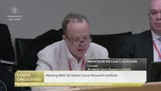 AICRI Opening Statement to Joint Committee on the Good Friday Agreement, 18 Nov 2025
