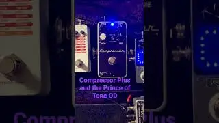 Keeley Compressor Plus into analogman Prince of Tone Overdrive setting 1