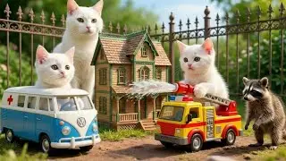 Mama Cat Trims Fur on the Farm and Makes Tiger Hat For Kittens At Home🐾🎩🐯