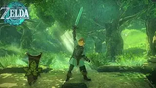 This Makes The Master Sword So Much better in Tears of the Kingdom..