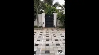MS swing kovilpatti Pedestrian