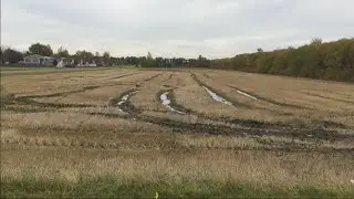 Canola School: Catastrophic Compaction
