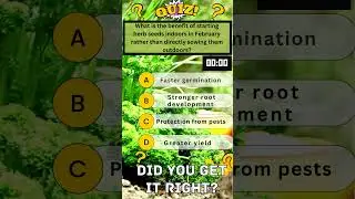 Indoor vs. Outdoor Herbs:  Seed Starting Showdown! #shorts #indoorgardentips #seedstarting
