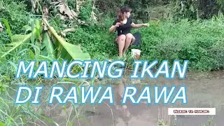 cewek cantik mancing di rawa rawa ! fishing ya mancing