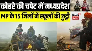 MP Weather Today : कोहरे की चपेट में मध्यप्रदेश, MP के 15 जिलों में स्कूलों की छुट्टी | IMD Alert