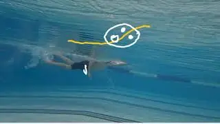 learn how to swim - freestyle tactics