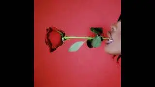 [FREE] jt x flo milli x doja cat type beat - 