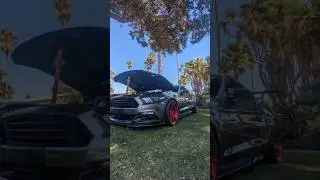 A SICK Ford Coyote Mustang @ Ponies by the Sea Car Show #mustang #ford #fordcar #musclecar #car