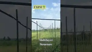 Multilayer Structure 🪵 #farming #organicfarming #jaivikfarming #farm #trending #shorts #update #new