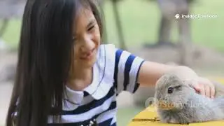 This Bunny&rsquo;s Secret Superpower? Kindness!