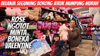 Belanja banyak dj Walmart trolley full sama macam macam jeruk 