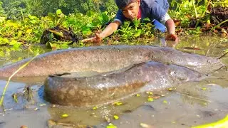 Top 10 Hand Fishing. A Boy Catching Big Fish In River. Big Monster Catfish Fishing