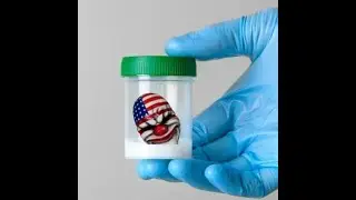 sperm bank heist