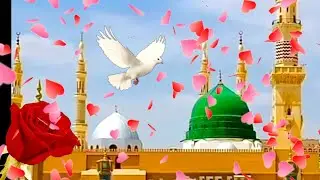 Heart Touching Sindhi Naat | هن سال مديني گھرايو نبي