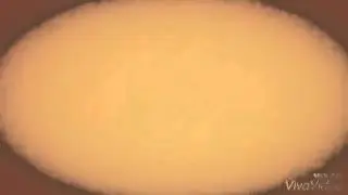 IMG 3106