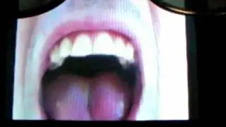 GUILD - Failure To Communicate