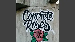 Concrete Roses