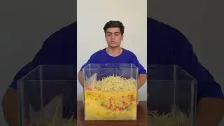 Do not waste food #Shorts