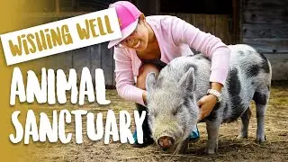 Save Wishing Well Animal Sanctuary