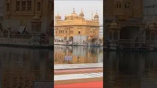 Dhan dhan Ramdas guru #shorts #goldentemple #youtubeshorts #feedshorts