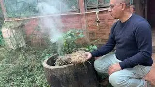 Обработка листьев перца Ghost Chili для борьбы с курчавостью при фумигации.