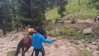 Very dangerous horse ride of my life in sonmarg #viral #kashmir #horseride #dangerous 