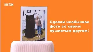 Все возможности принтера Instax mini Link. Фото с кисой.